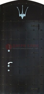 Металлическая арочная дверь ДА-22 высокого качества в Красноармейске