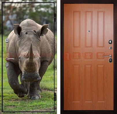 Металлическая дверь с фотопечатью носорога ДФ-31 в Красноармейске