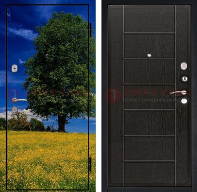Железная дверь с фотопечатью дерева в поле ДФ-36 в Красноармейске