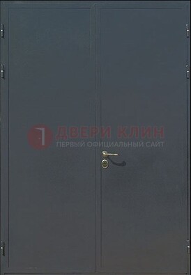 Двухстворчатая техническая дверь ДТ-5 в Красноармейске