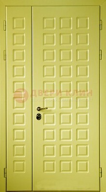 Салатовая тамбурная дверь ДТМ-28 в Красноармейске